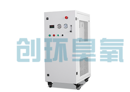 黄南石斑鱼养殖水质调控完整指南：臭氧发生器配置与操作步骤