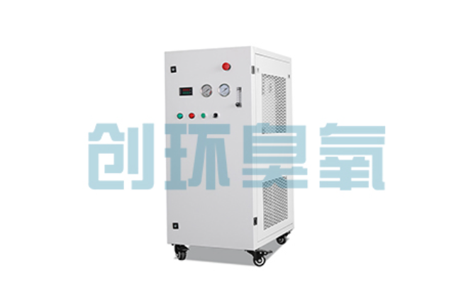 黄南比传统换水更高效？臭氧发生器在石斑鱼养殖中的水质净化原理解析