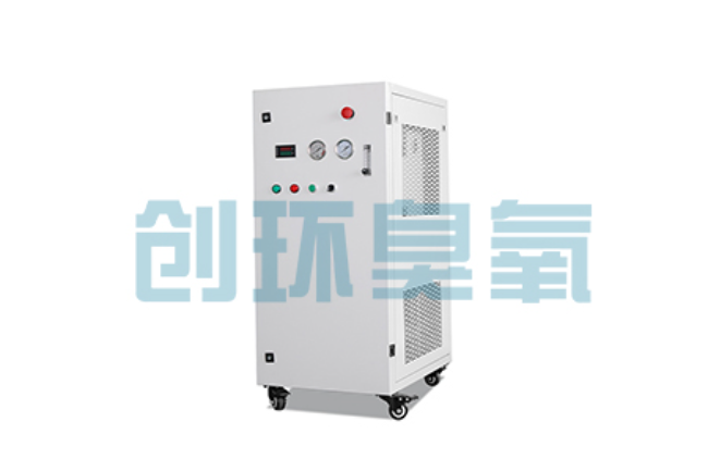 黄南比传统换水更高效？臭氧发生器在石斑鱼养殖中的水质净化原理解析